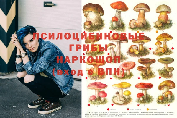 первитин Володарск