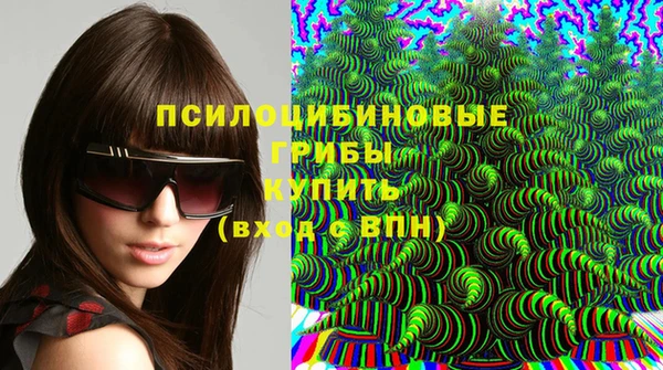 первитин Володарск